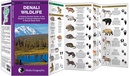 Natuurgids Denali Wildlife Alaska | Waterford Press