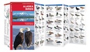 Vogelgids - Natuurgids Alaska Birds | Waterford Press