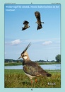 Natuurgids Natuur - zakgids Naardermeer | De Bruine Kiek