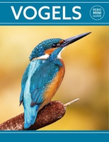 Vogels