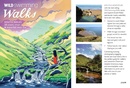 Reisgids Walks South Wales | Wild Things Publishing