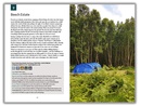 Campinggids Almost Wild Camping | Punk Publishing