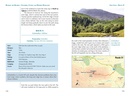 Wandelgids 1 Walking The Munros Vol 1 Southern, Central and Western Highlands - Schotland | Cicerone