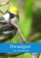 Dwaalgast