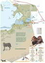 Wegenkaart - landkaart Map of Etosha | Honeyguide