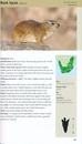 Natuurgids The Pocket Guide to Mammals of Southern Africa | Struik Nature