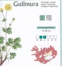 Natuurgids Botanical map Ijsland | Mal og Menning