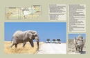 Reisgids Etosha Self-Drive | HPH Publishing